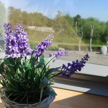 Appartamento Timalou Großheide Esterno foto